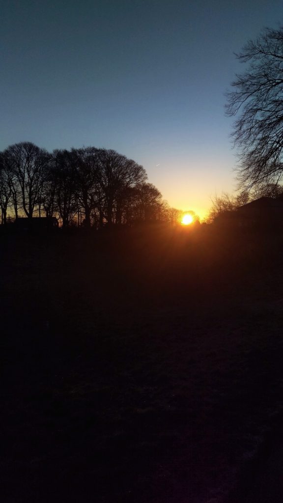 Sunrise Sunset For Business