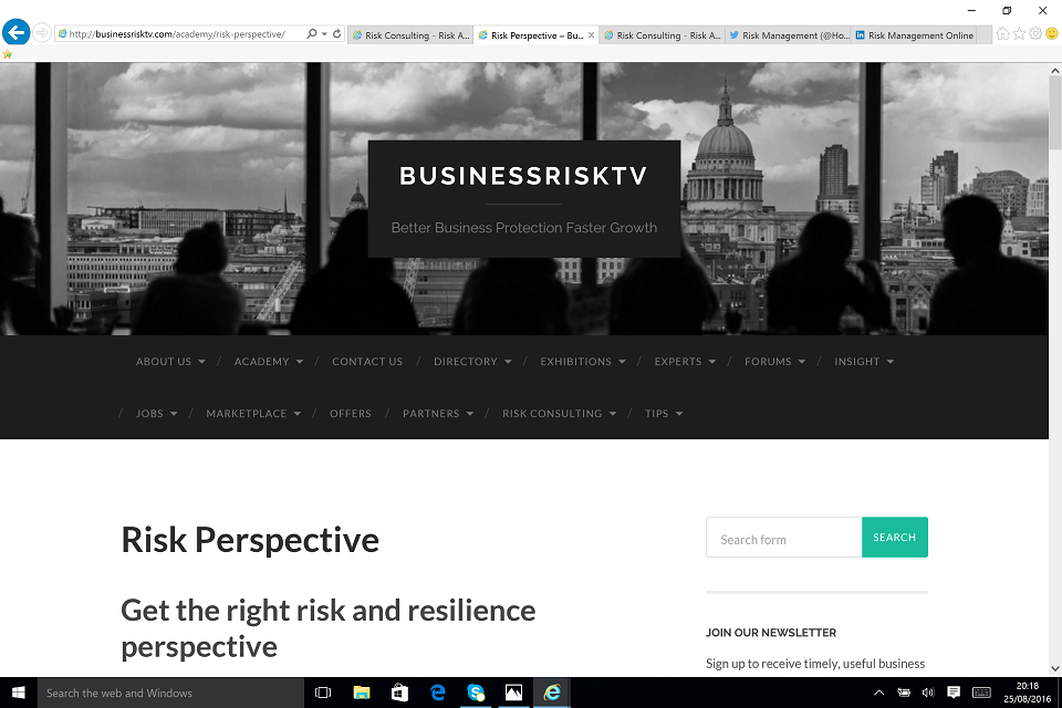 Enterprise Risk Management Perspective