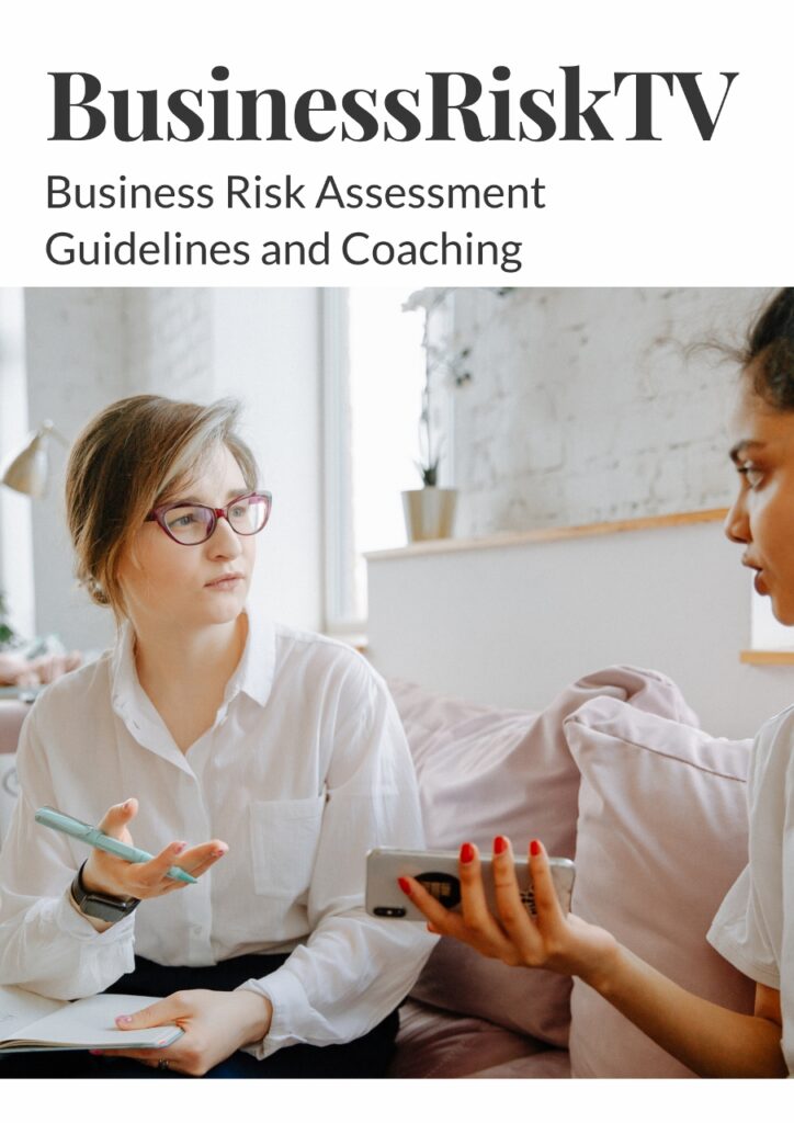 Business Risk Assessment Mentoring