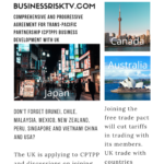 CPTPP UK Business Development with UK