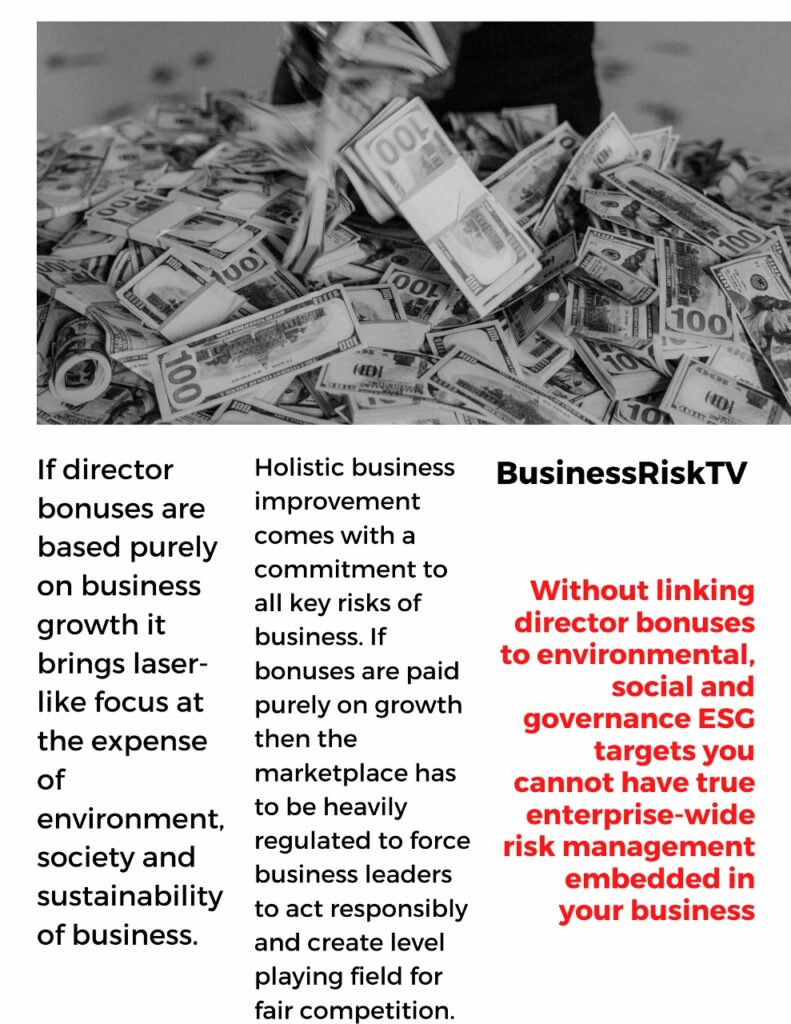 Enterprise Risk Management Magazine Review Environmental Social and Governance Risks