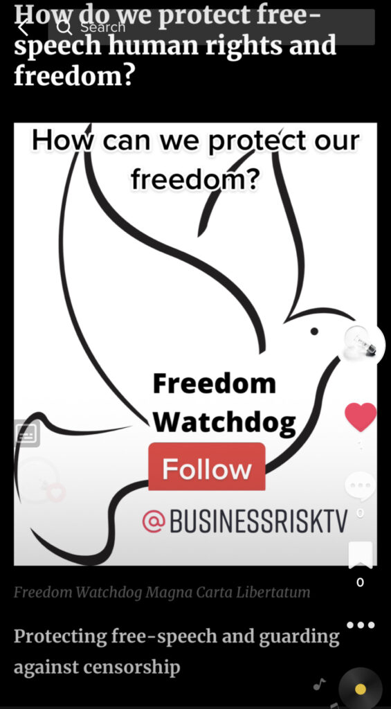 Business risk management