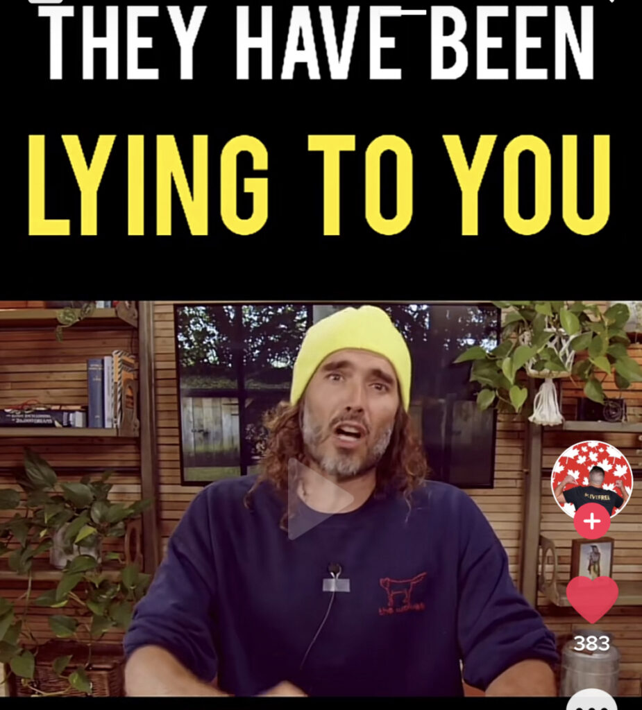 Free speech censorship and risk information