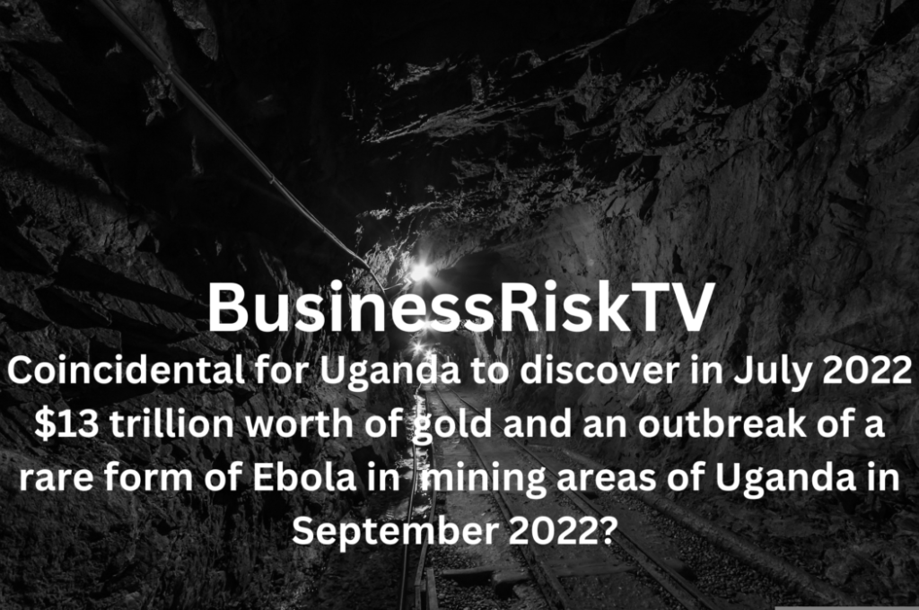 Africa business risk management