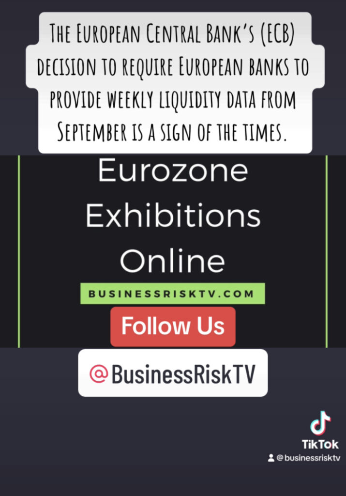 Which of the following is the mandate of the European Central Bank? How does the CB make decisions? What is the excess liquidity in the euro area? What are the responsibilities of the CB?
