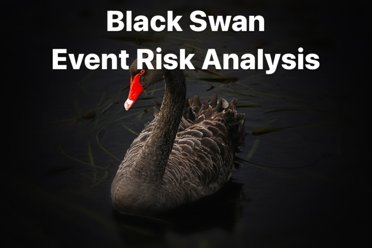 Black Swan Event Risk Analysis