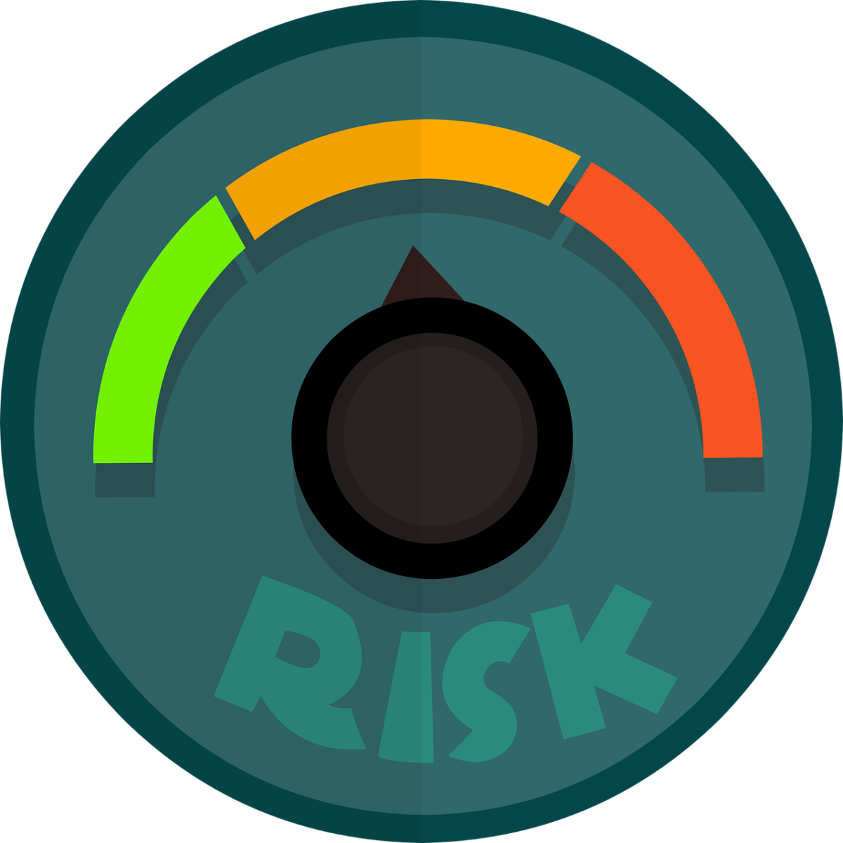 Risk Analysis of the U.S. Economy: Second Half 2024